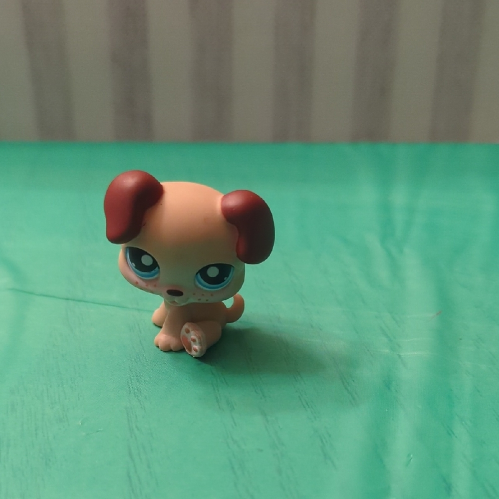 LPS #143